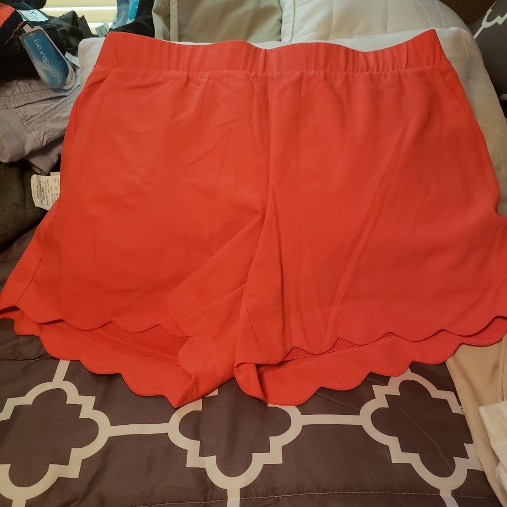 Torrid Shorts